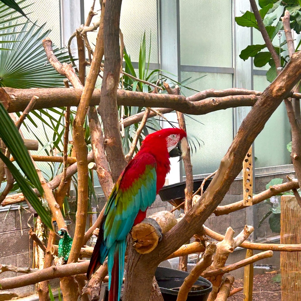 Meet Your Posher, Moogie Fawaz